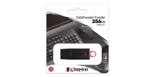 Kingston USB 3.2 DTX/256GB